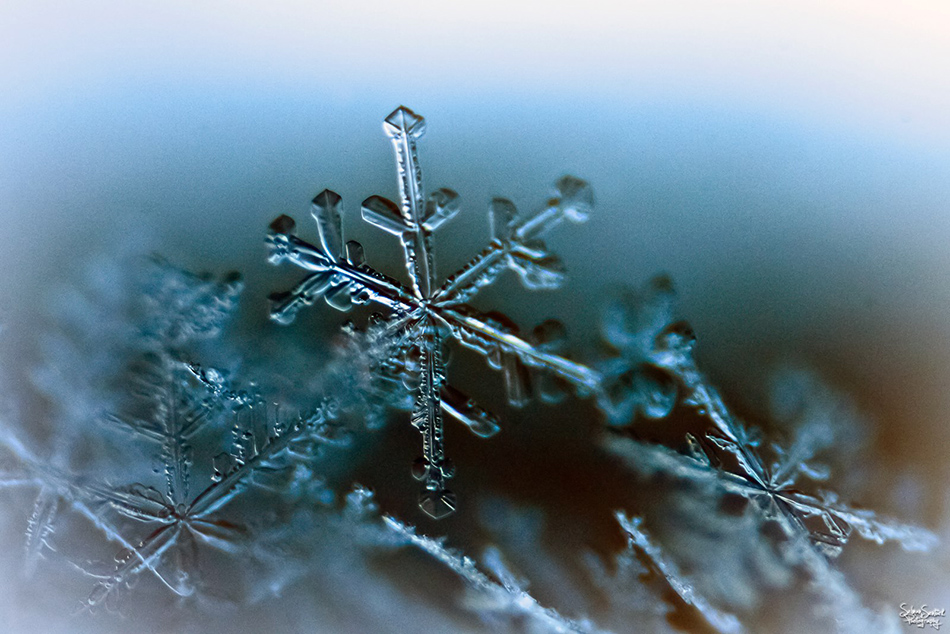  snow flakes 18-55 reverse lens
