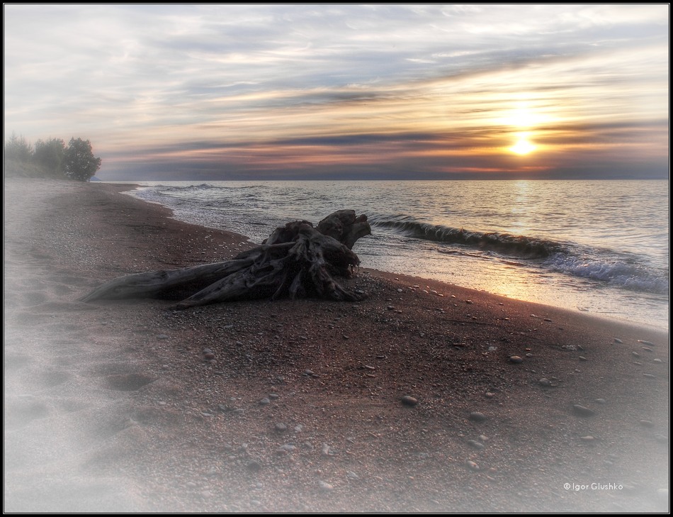  Loneliness