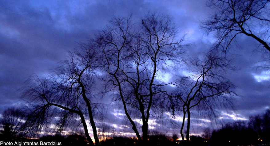  Evening in my town