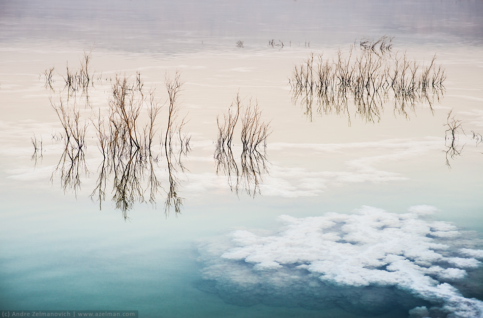  Dead Sea ...