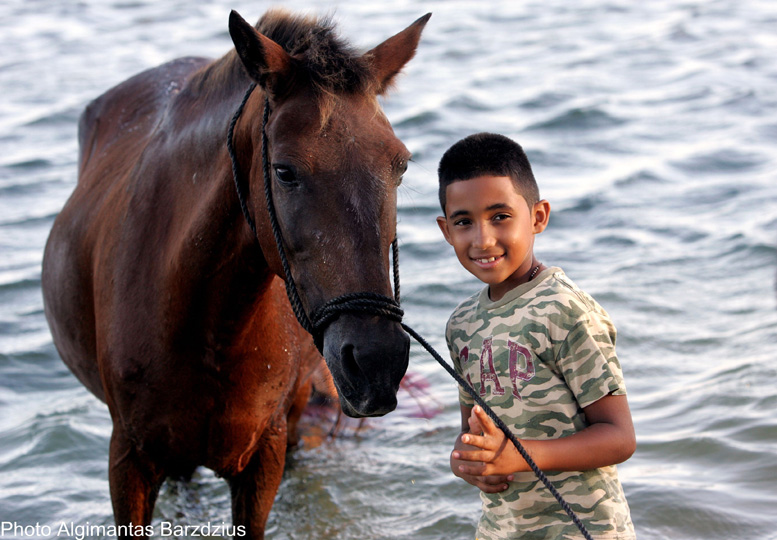  Boy and Horse