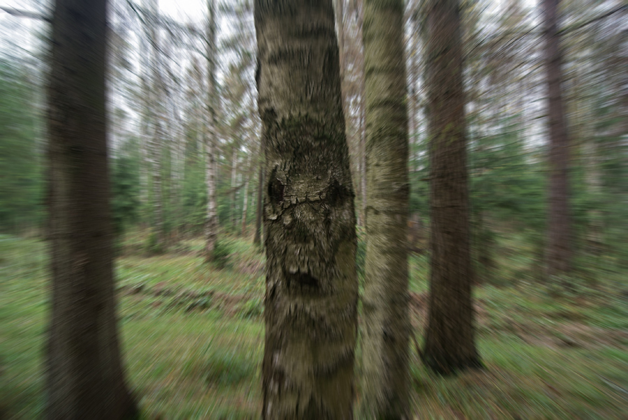   ,  