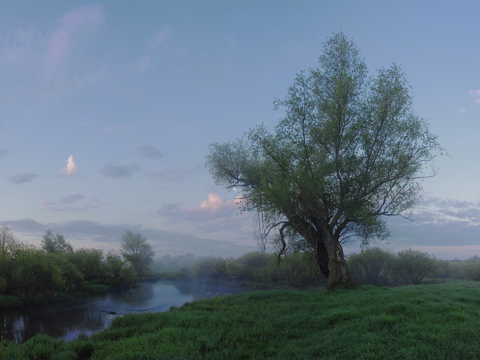  110522 DSC08986 89P