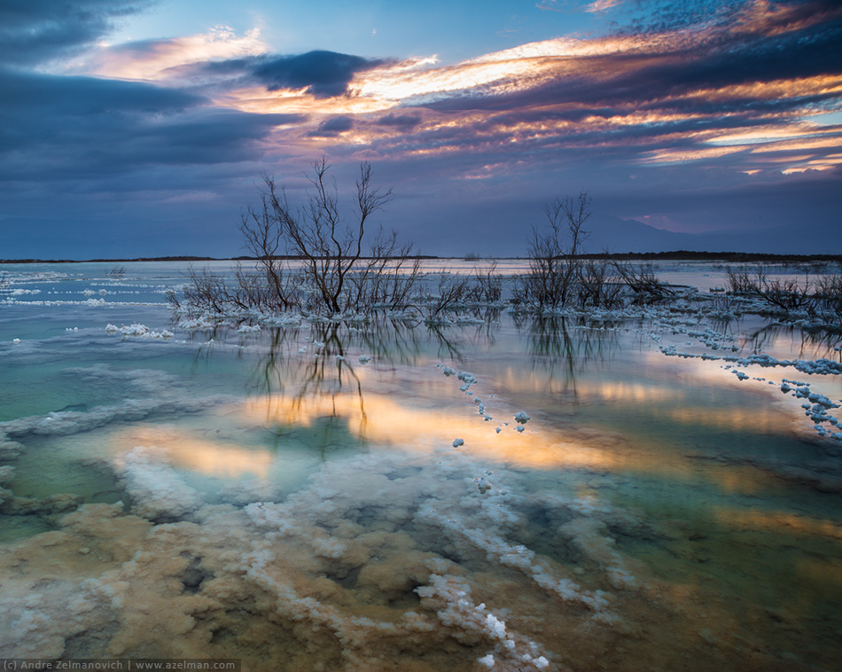  Dead Sea ...