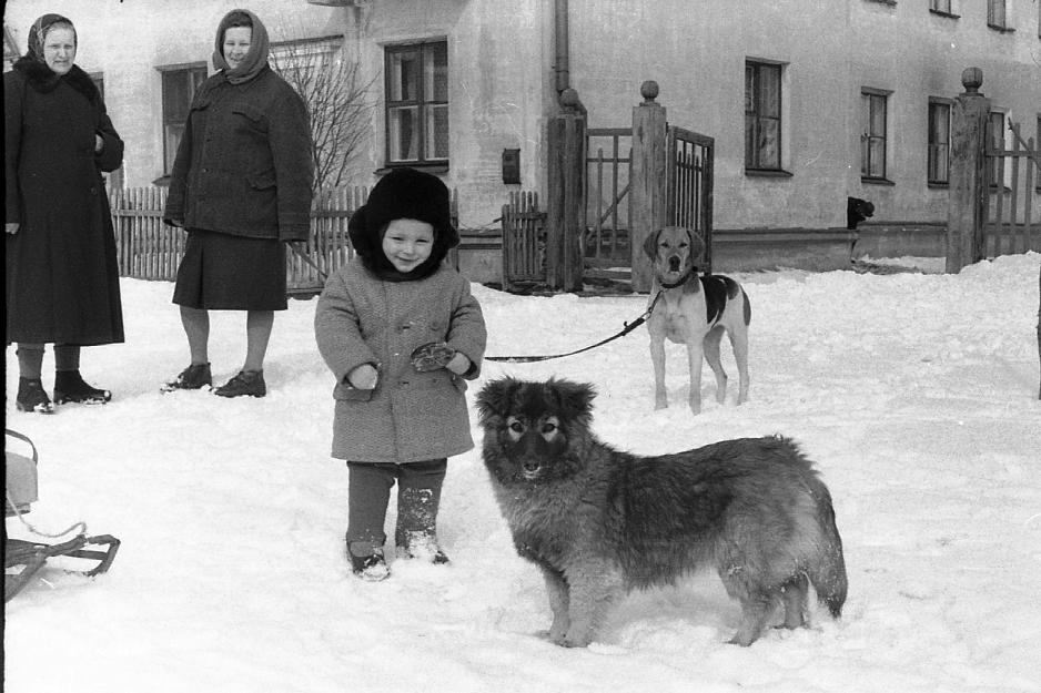   1965.