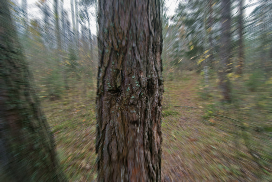   , 