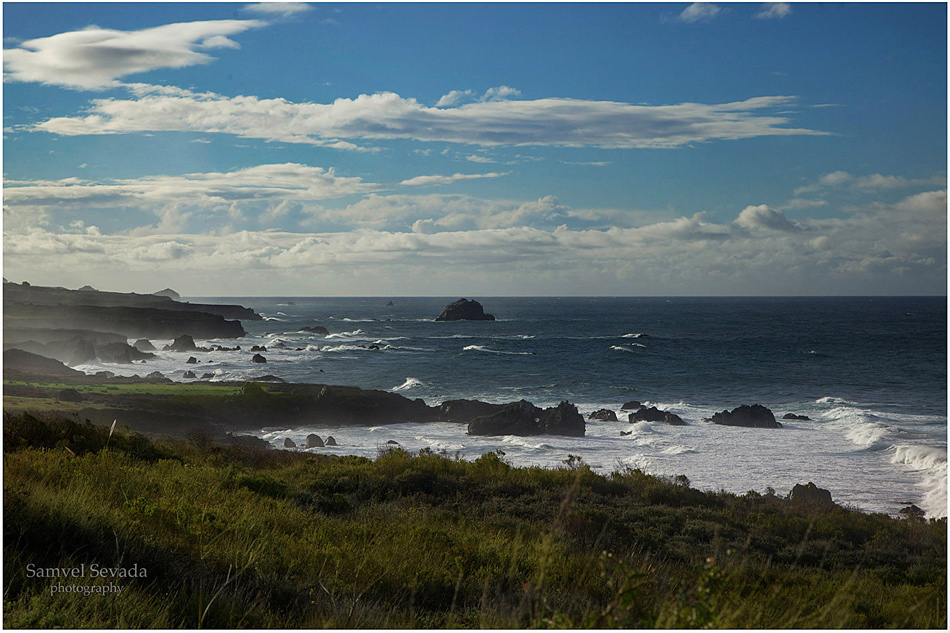  Pacific