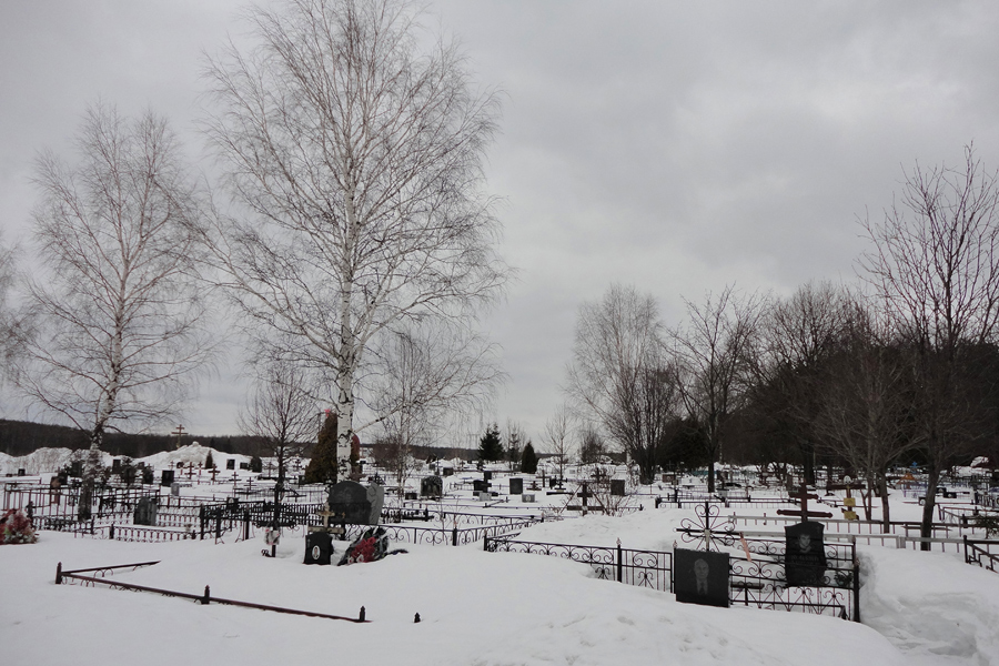  Sweet panorama