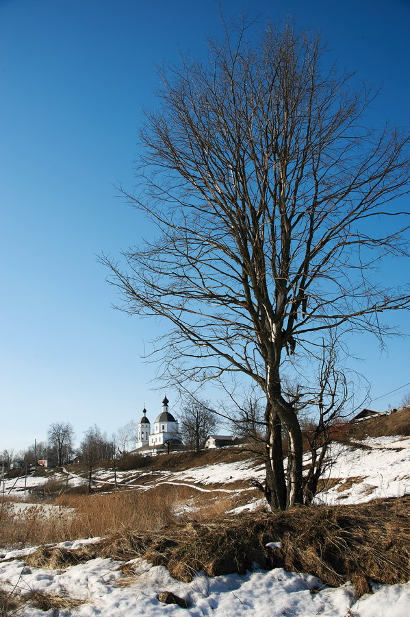    ... (2013)