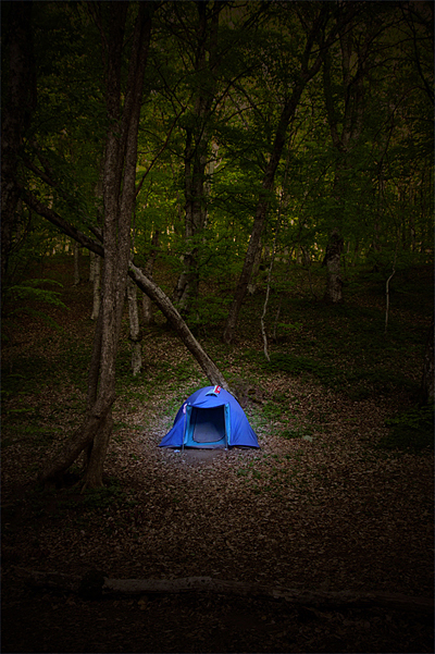  Shelter