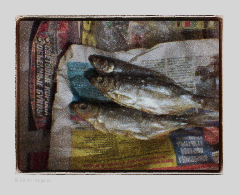  28.02.2013