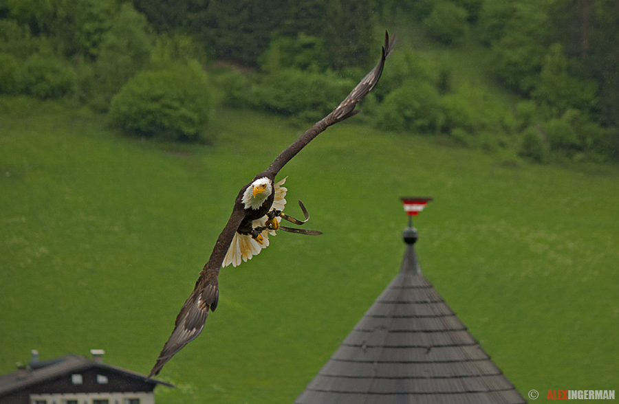  In Flight