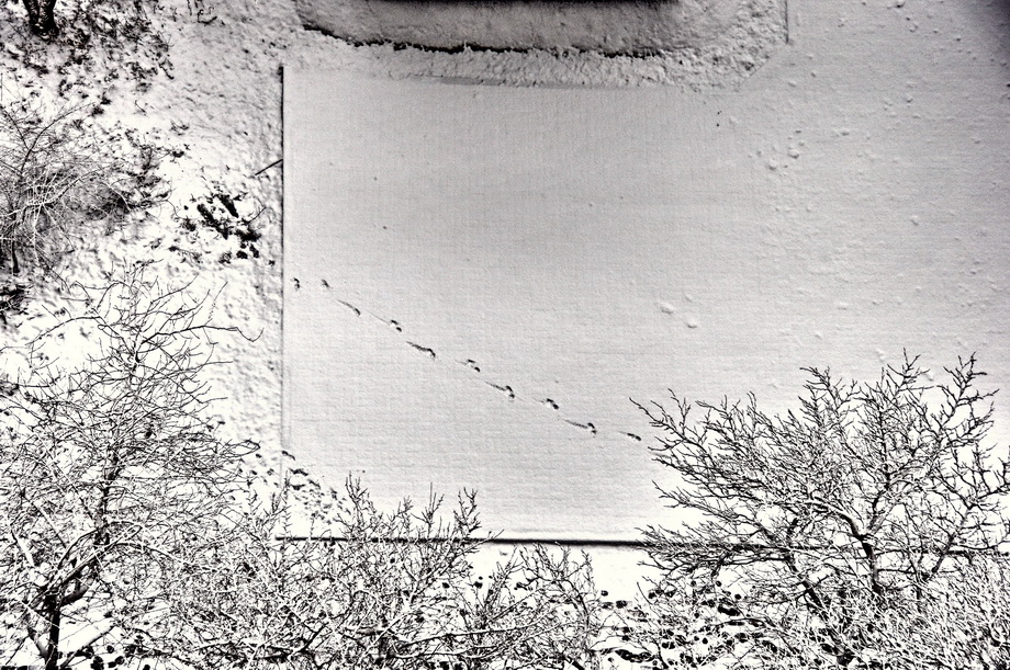     (2)
