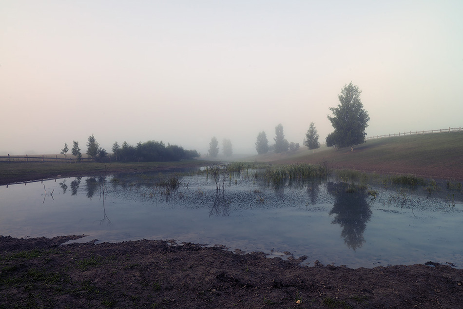  130731 CF004568 c1-950