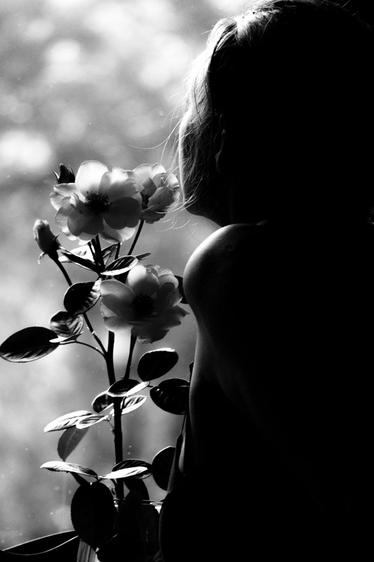  ... beauty ...