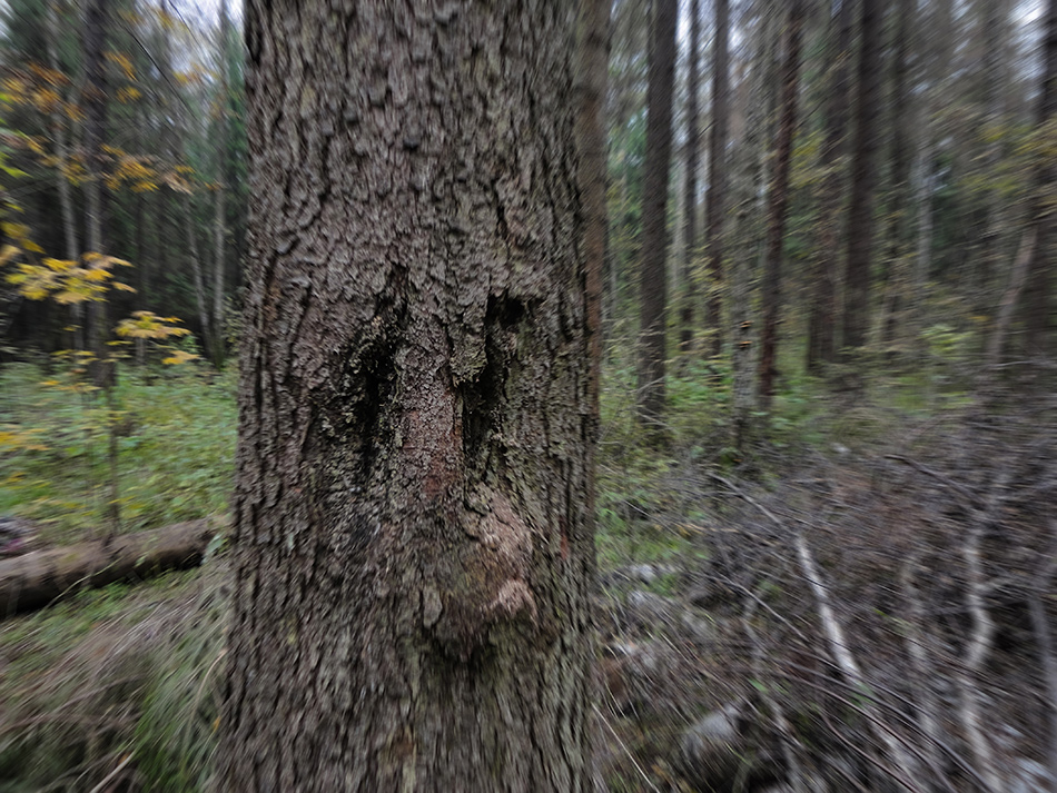   , 