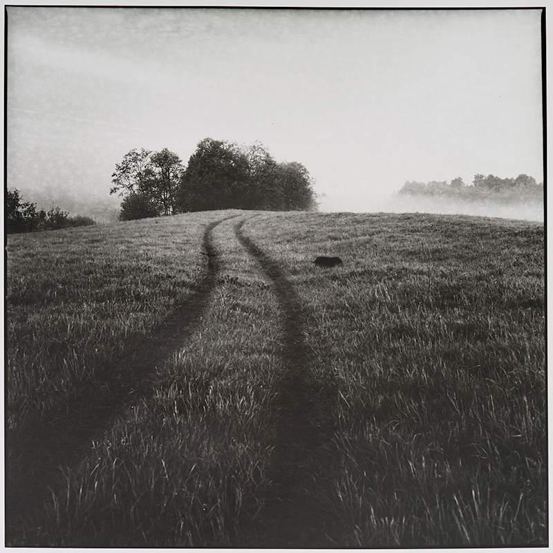  773 H 130519 RolleiIR 002 lith