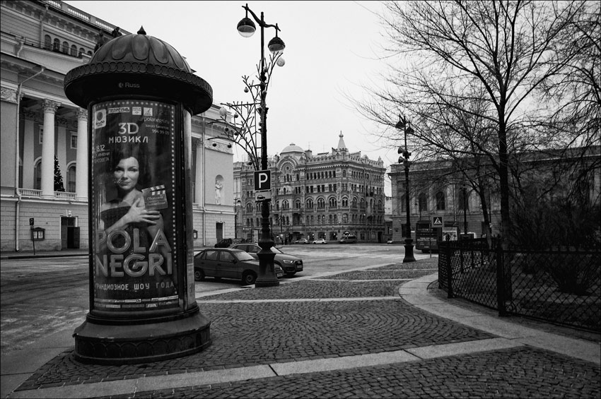  Pola