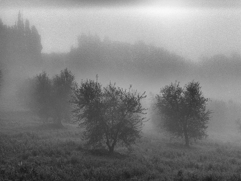  839-H2-1311107-TMax400-001