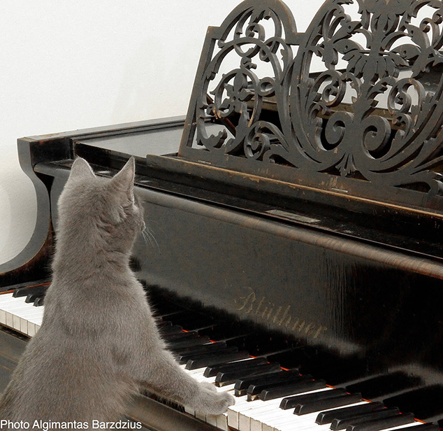  grand piano