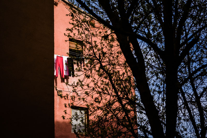  Spain #11