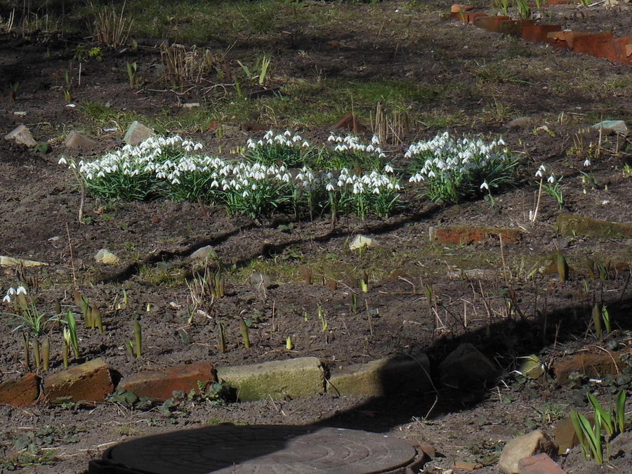     2014-03