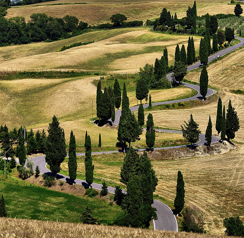  Toscana , Val d` Orcia.