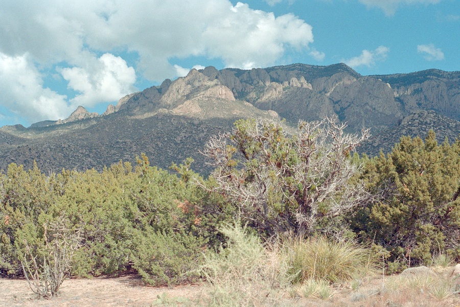  NM
