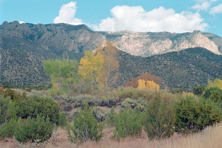  NM