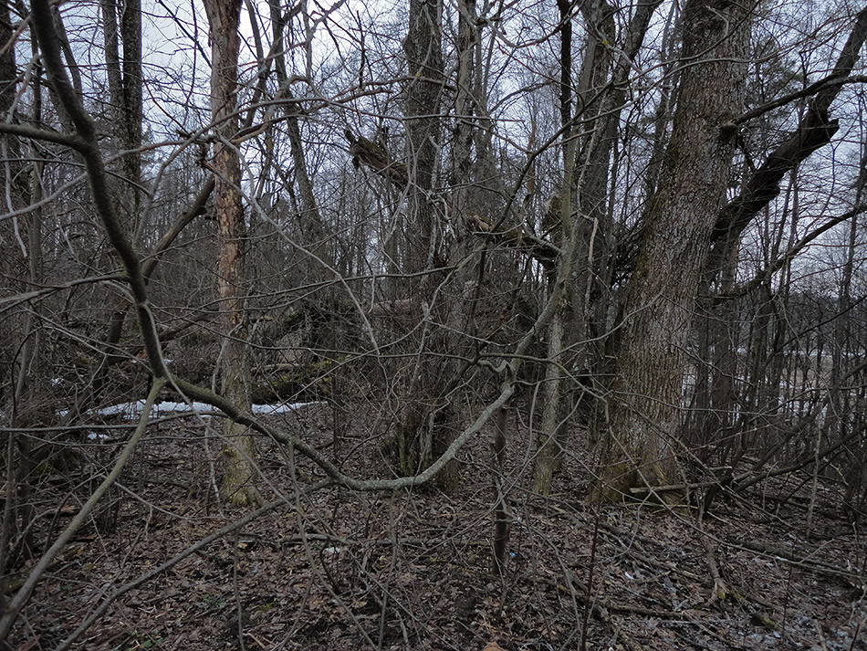    (14)