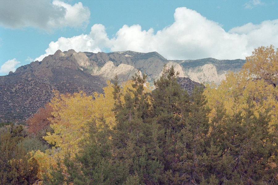  NM