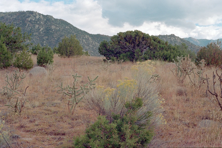 NM