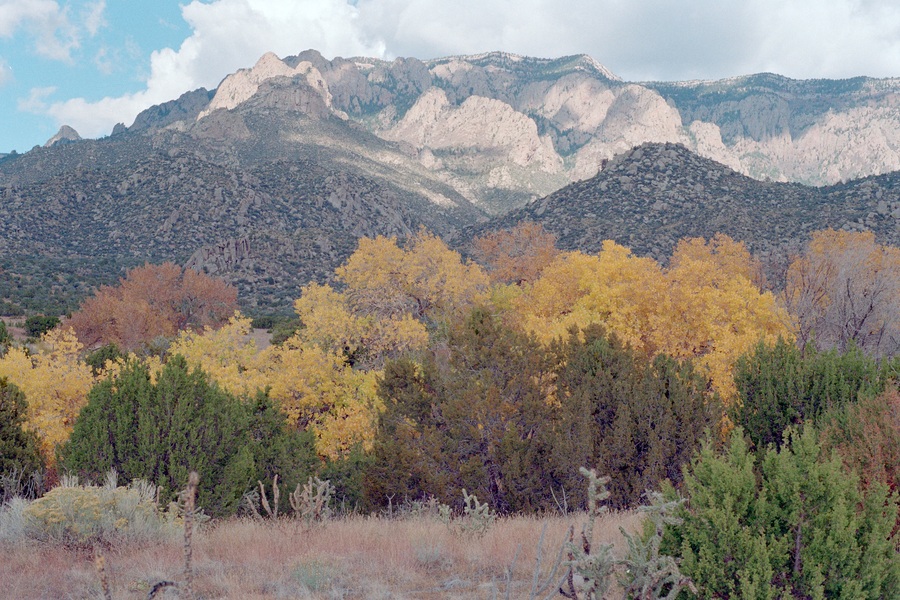 NM