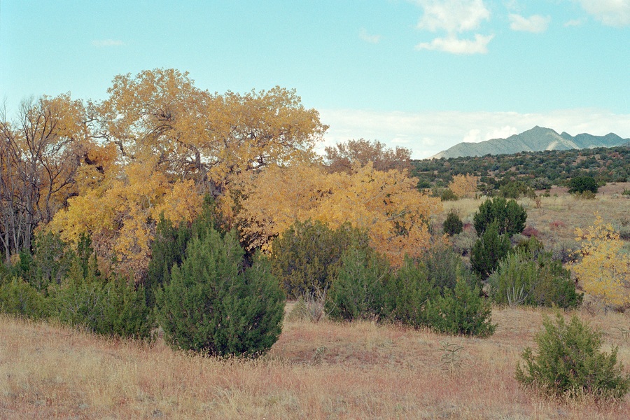  NM