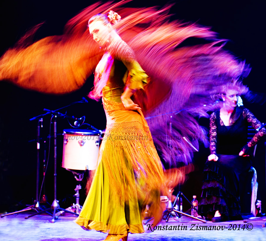  fuego de flamenco