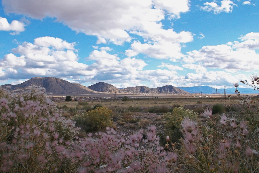  NM