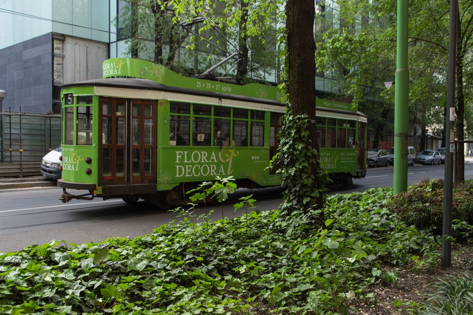  Flora