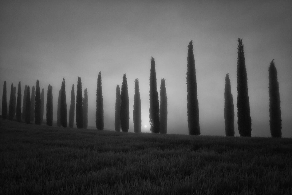  140425-P1050373