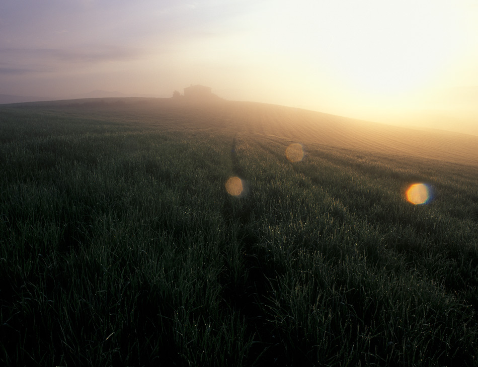  893-C-140427-Velvia50-005