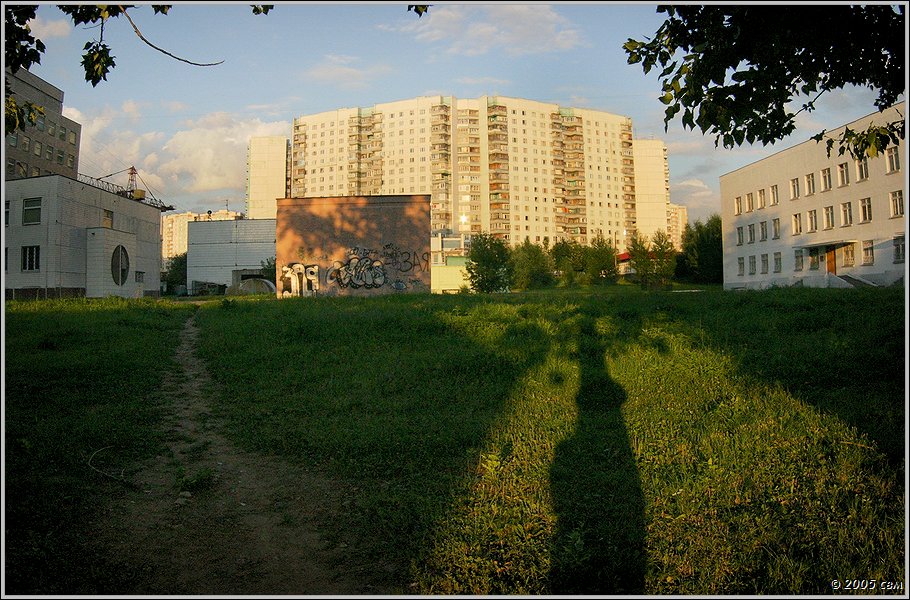   2005 