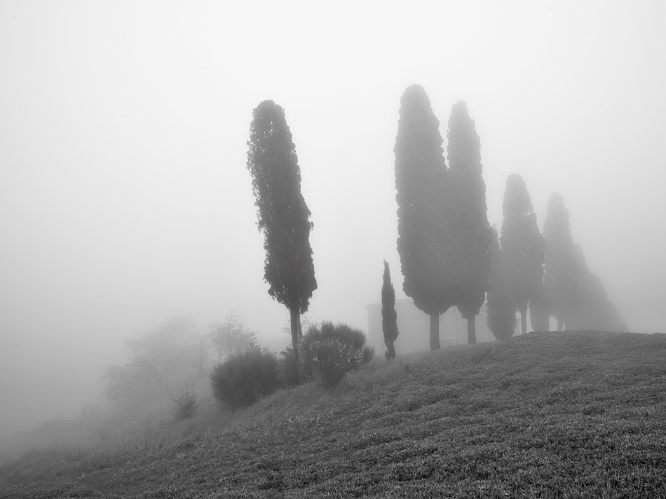  140428- 6454430-bw