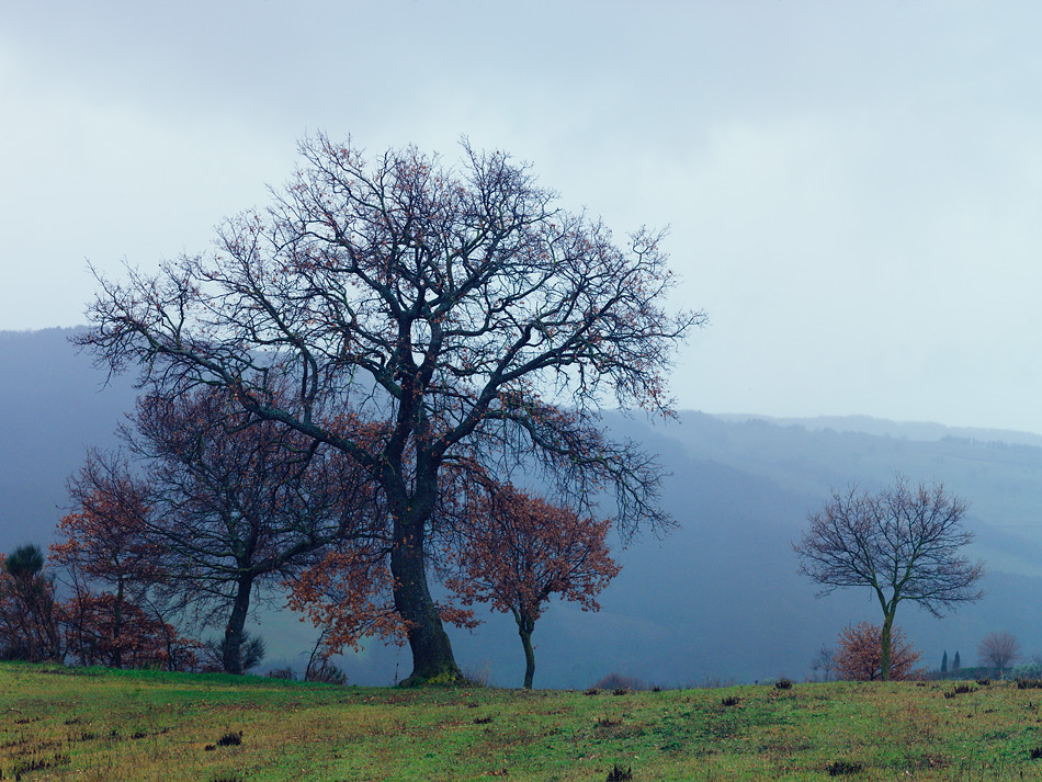  140210-33VV4086-88P 2