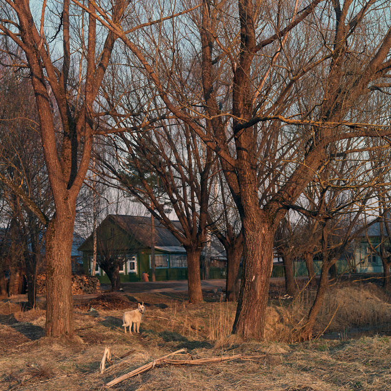  140419-33VV4895