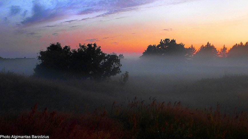  mist