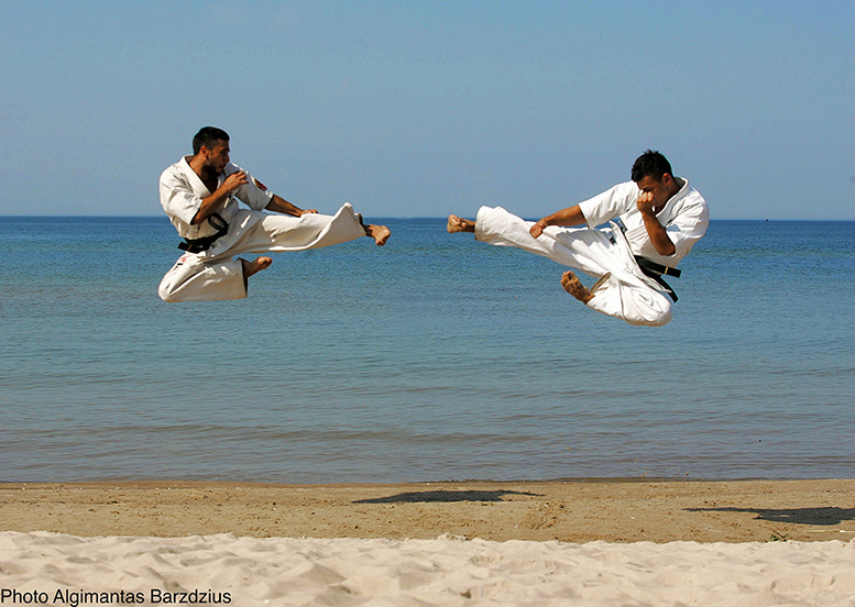  Kyokushin