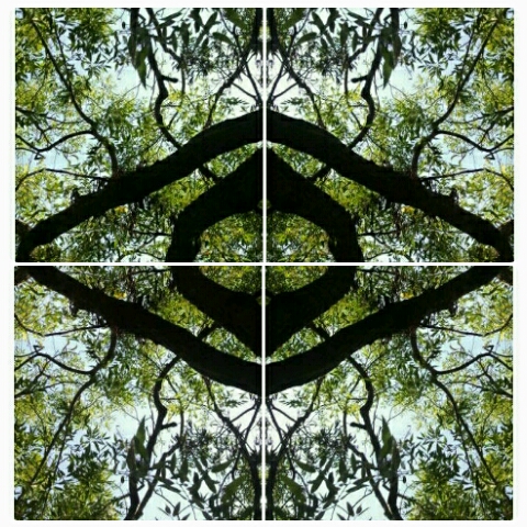     ң