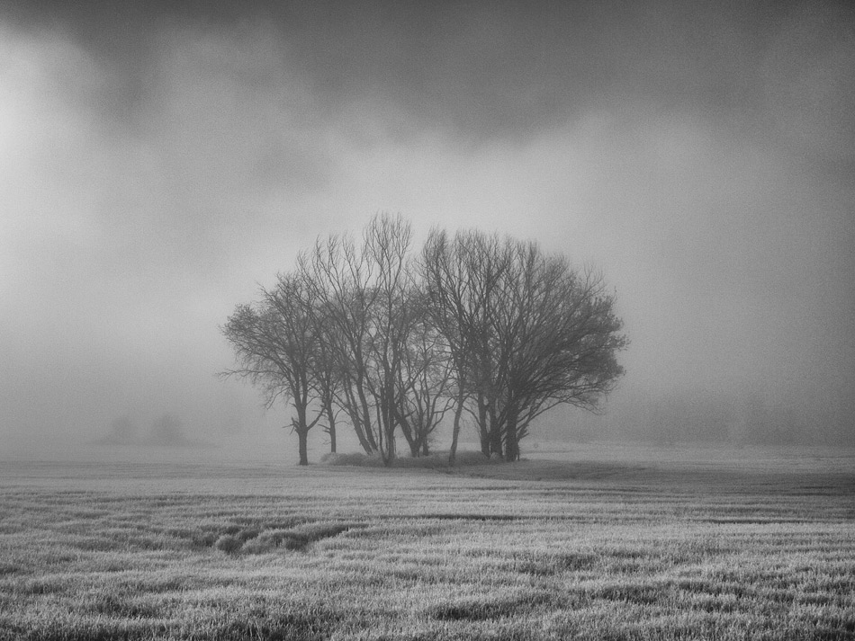  140425-P1050389