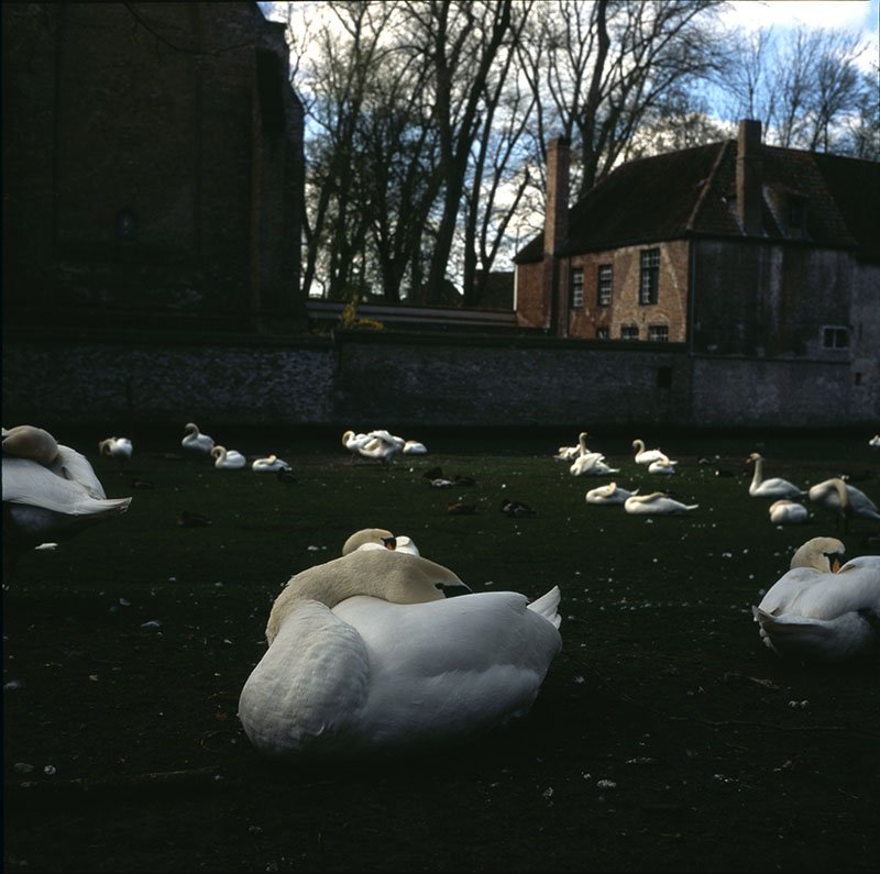  In Bruges