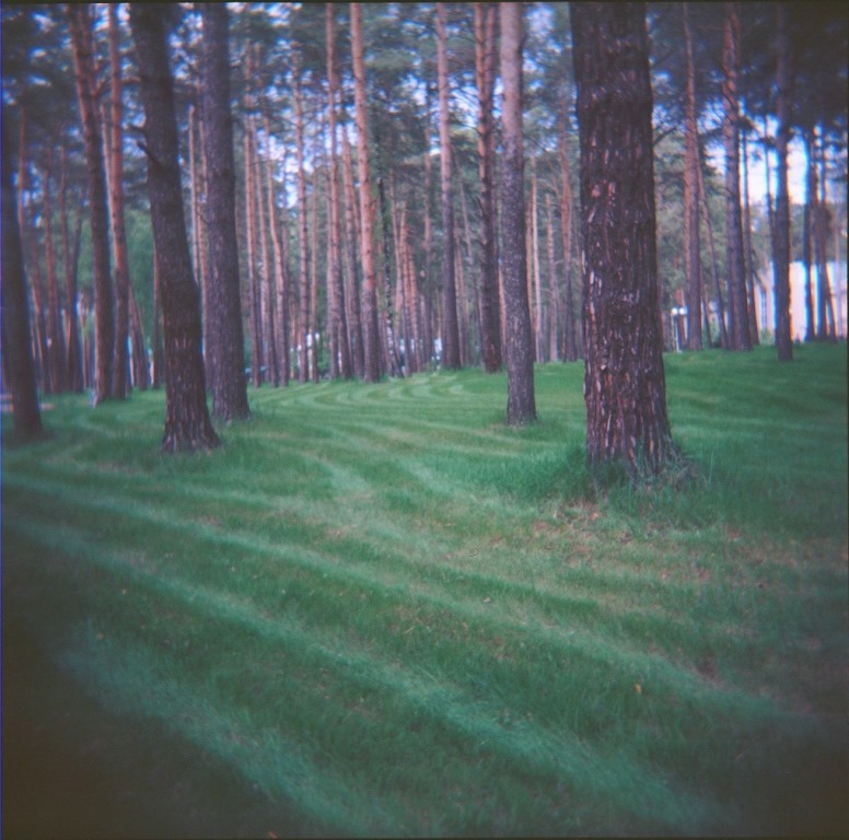  N.