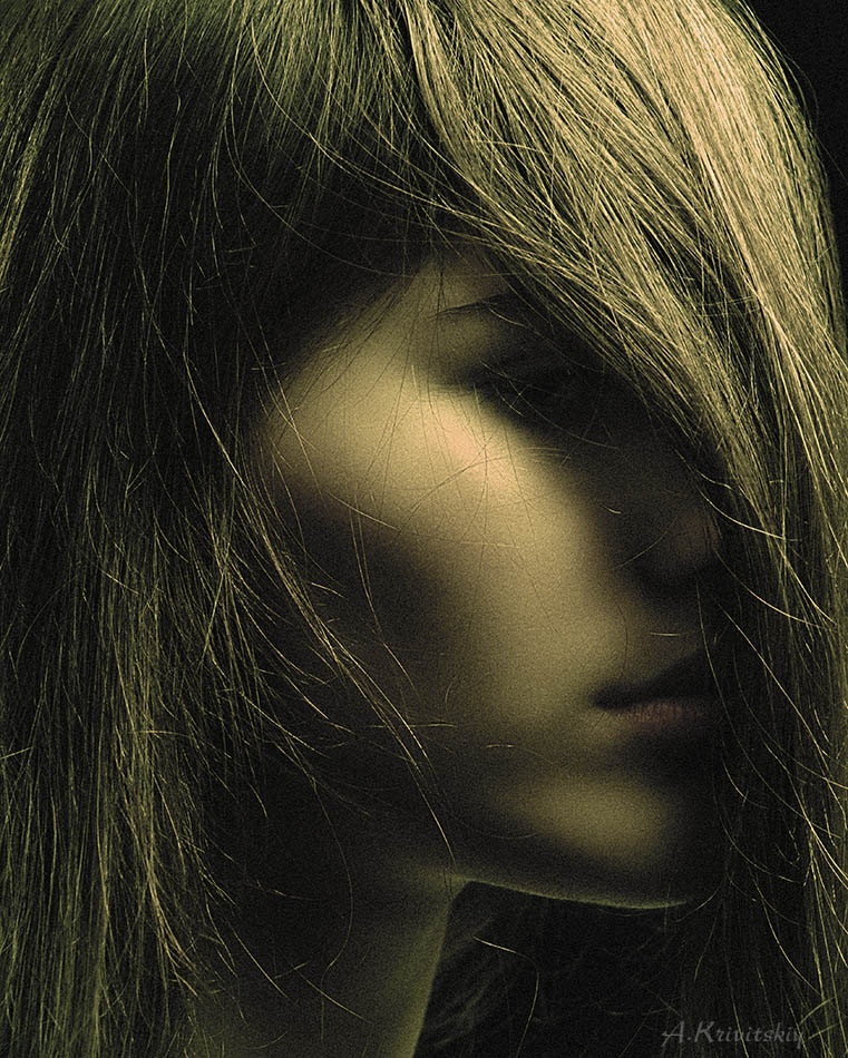  Portrait stylization.